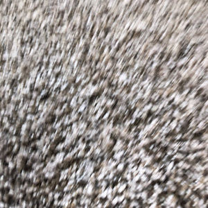 Meet your Posher, Trisha